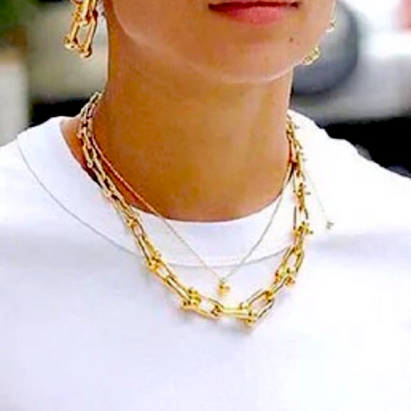 Gold Hardware Graduated Link U Necklace - Picture 2 of 12